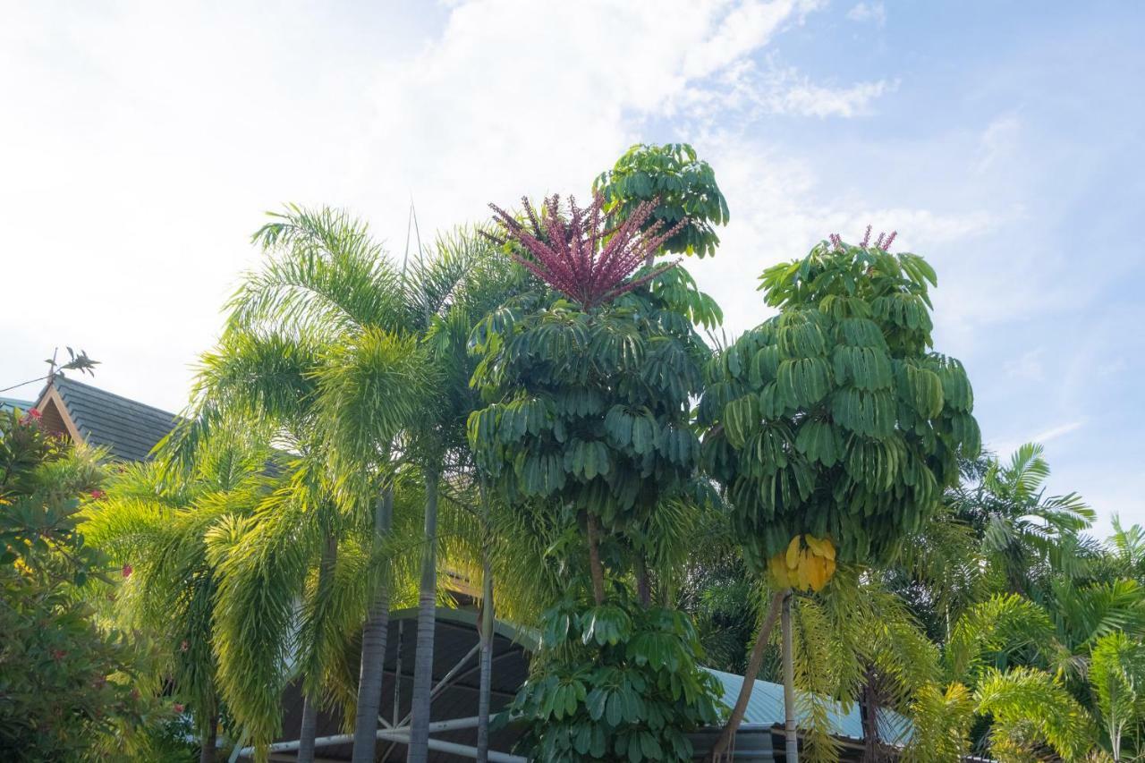 Blue Beach Grand Resort And Spa Rawai 外观 照片